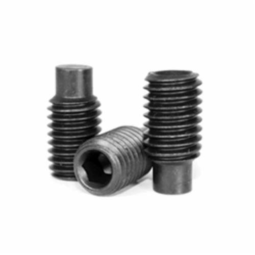 SCREW SET SKT #10-32 5/8IN FULL DOG HEX
